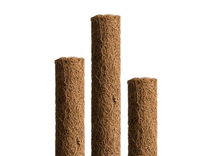 Кокосов кол за растения Windhager 80 см - Image 5