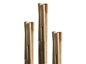 Бамбуково колче за растения 210 см Ф18–20 мм - Image 5